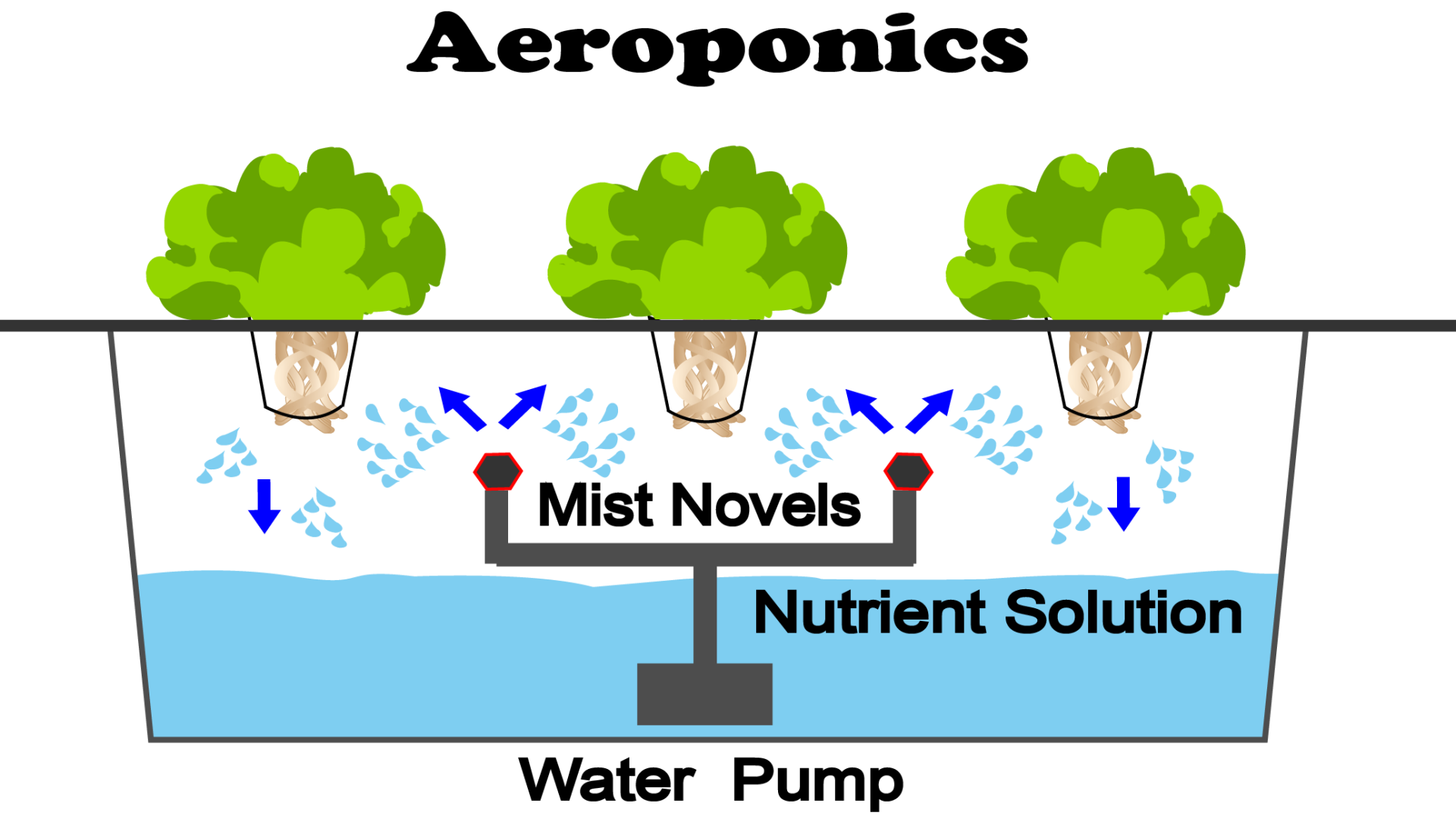 Aeroponics