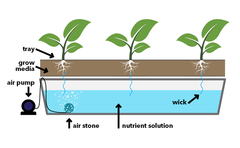 Wick System Hydroponics